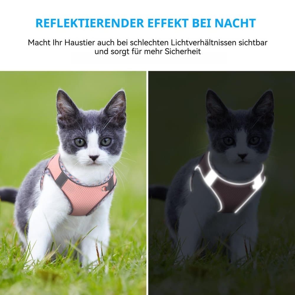 1 Adjustable Pet Harness for Cat and Dog with Reflector and Leash, Soft Comfortable Vest Design Anti-Escape, Compatible with Small Medium Large Pets, L Purple