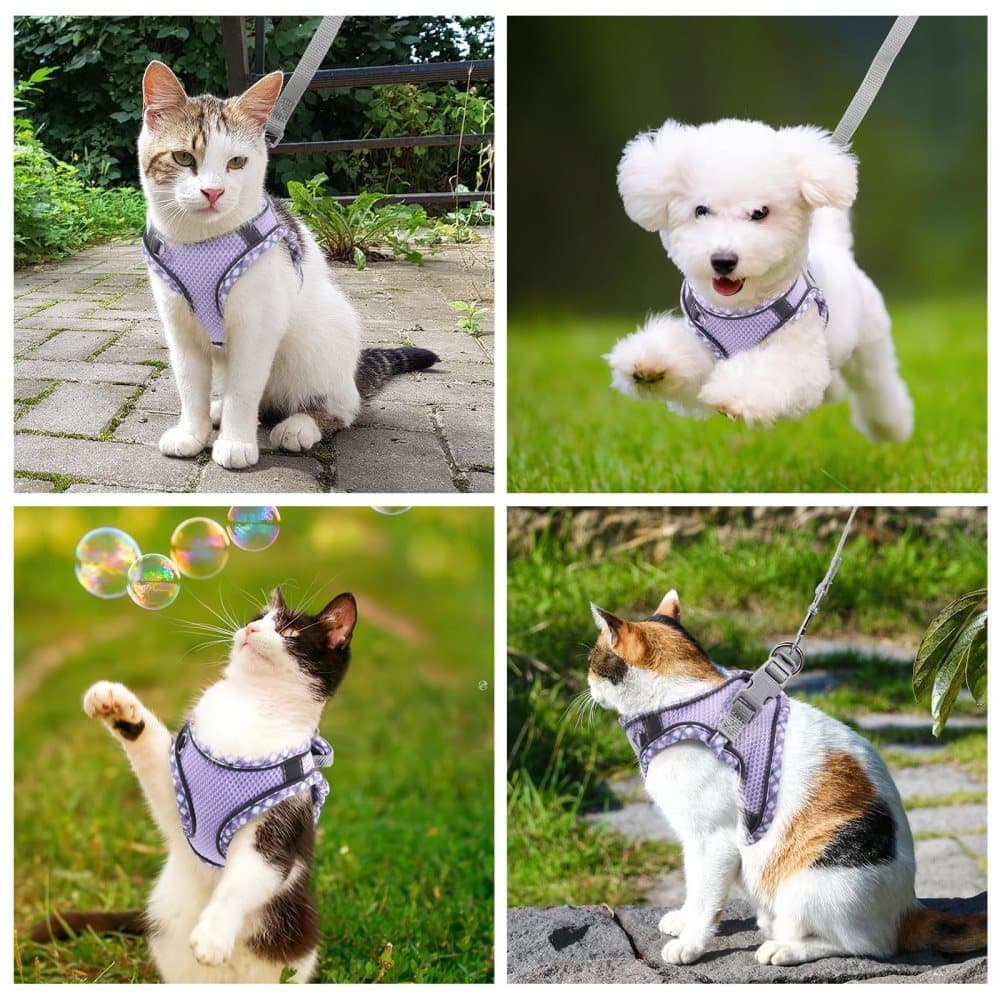 1 Adjustable Pet Harness for Cat and Dog with Reflector and Leash, Soft Comfortable Vest Design Anti-Escape, Compatible with Small Medium Large Pets, L Purple